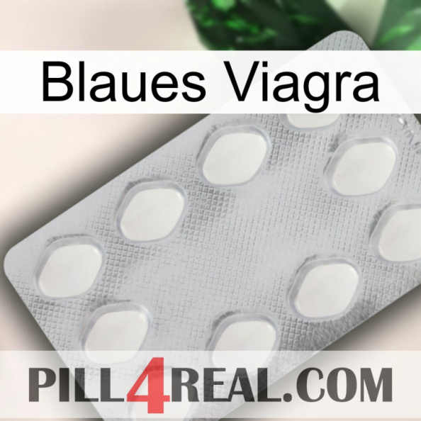 Blaue Viagra 16